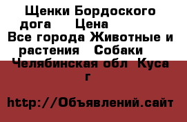 Щенки Бордоского дога.  › Цена ­ 30 000 - Все города Животные и растения » Собаки   . Челябинская обл.,Куса г.